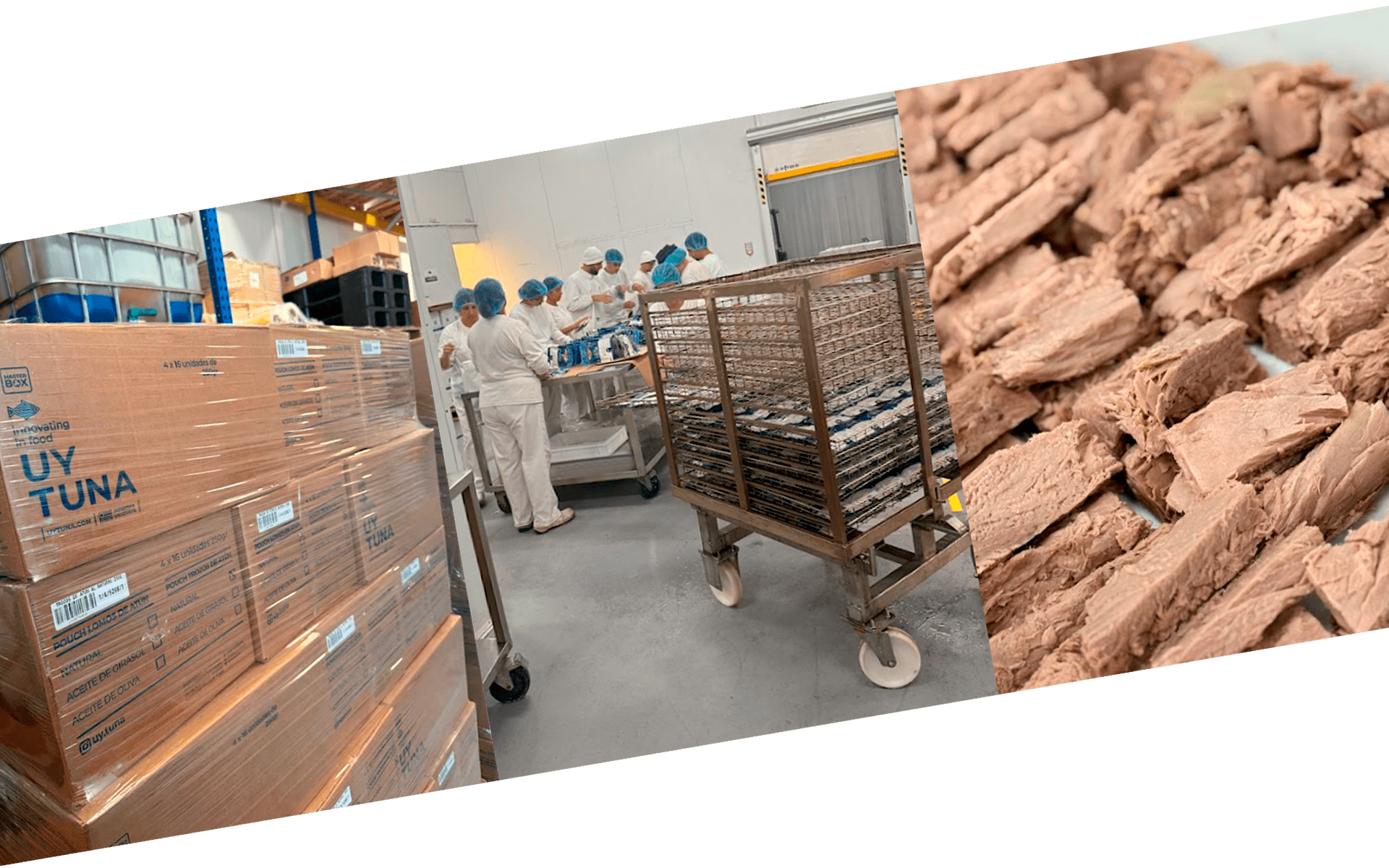 Instalaciones de la planta procesadora Uytuna