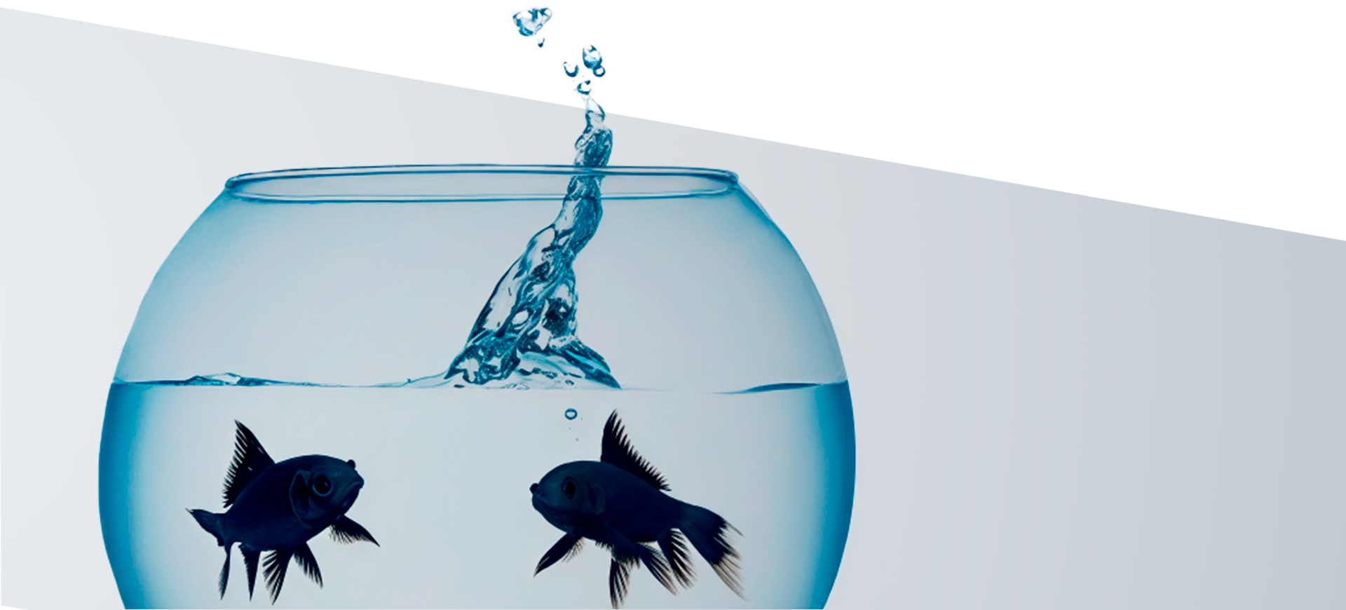 Innovación en la industria alimentaria