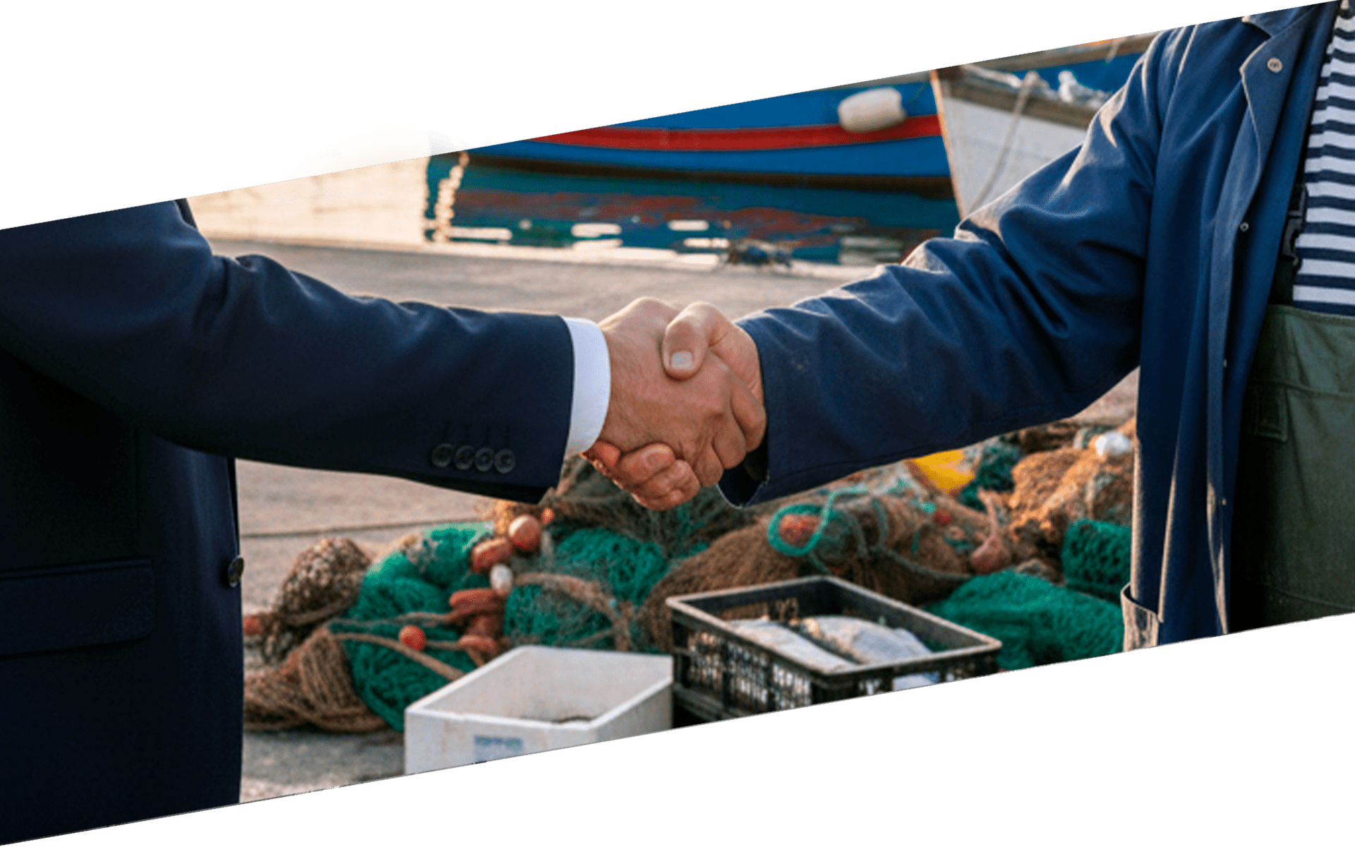 Expansión internacional de Uytuna